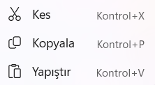 Düzen Menüsü
