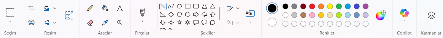 paint-giriş
