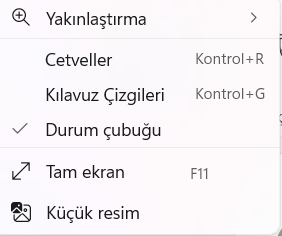 paint-görünüm-menüsü